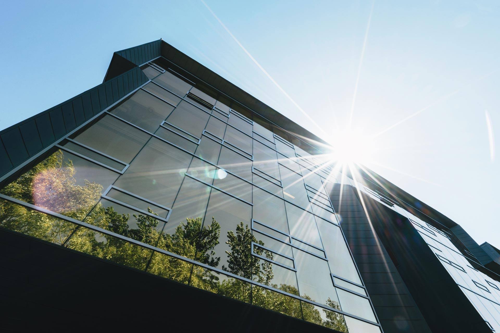 modern office building with trees reflected in glass windows and sun peaking over roof